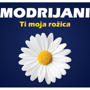 MODRIJANI - TI MOJA ROŽICA